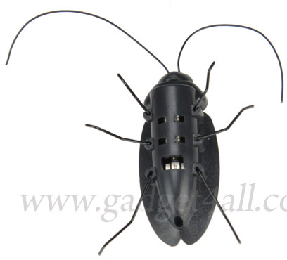 SolarCockroach3.jpg