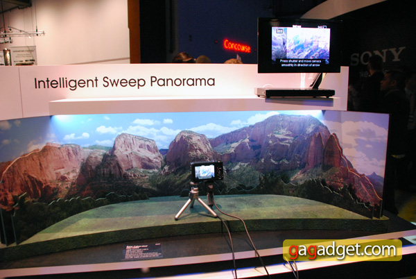 SonyCES2010_08.jpg