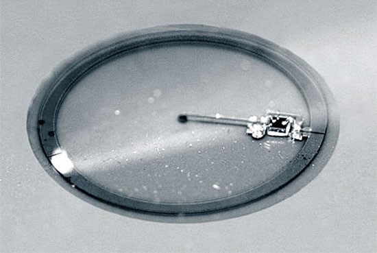 AR_ContactLens04.jpg