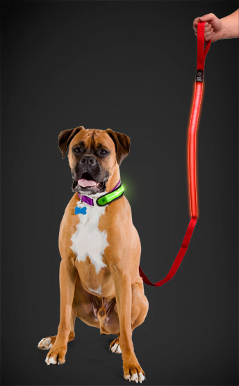 DogLeash01.jpg