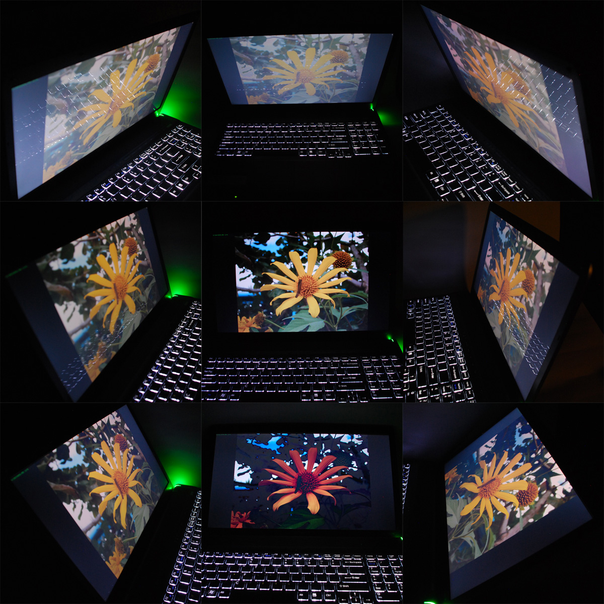 Домашний кинотеатр в сумке: подробный обзор ноутбука Sony VAIO F-29 SonyVaioF_ScreenAngles.jpg