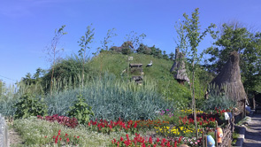 07062010012.jpg