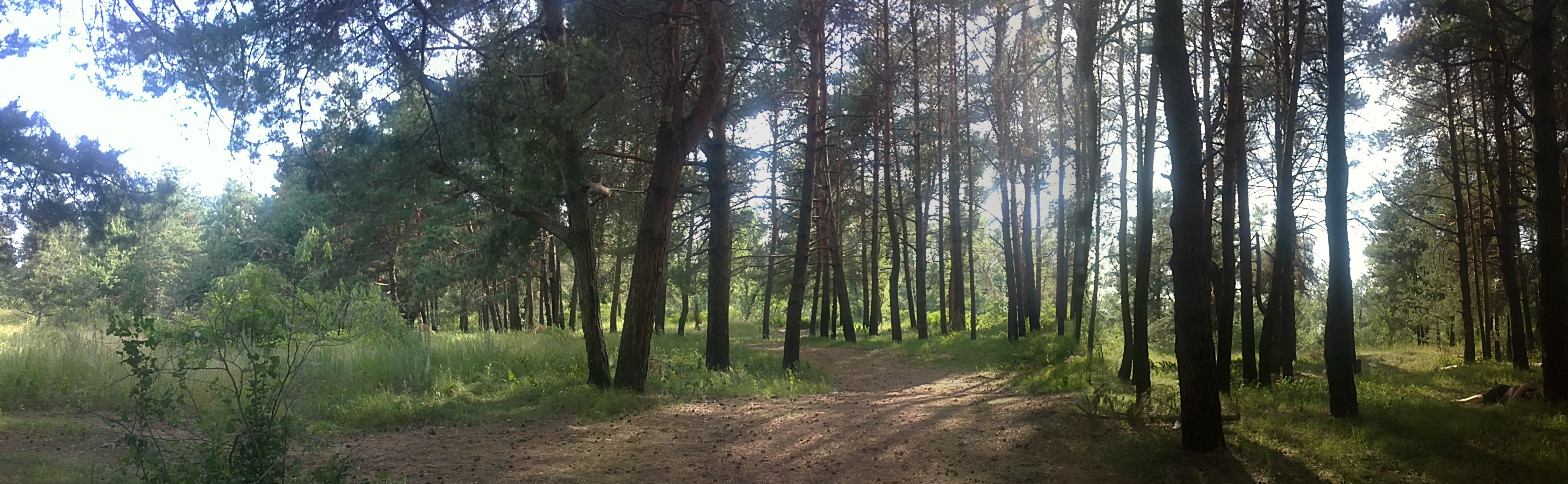 13062010087.jpg