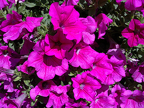 17062010127.jpg