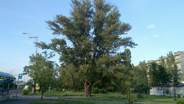 NokiaN900_CameraSample05.jpg