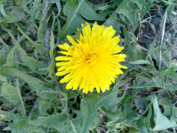 NokiaN900_CameraSample06.jpg