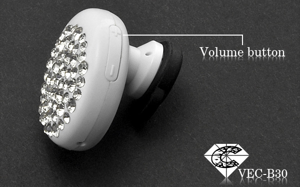 BlingmaxVEC-B30_04.jpg