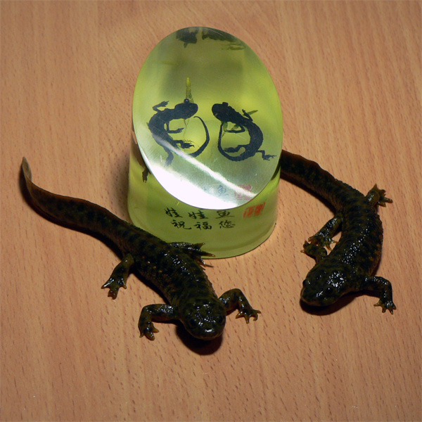 Competitor108_1.jpg