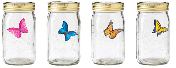 Butterfly02.jpg
