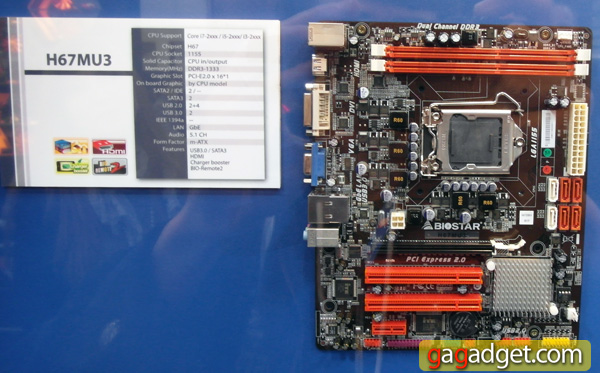 Biostar_02.jpg