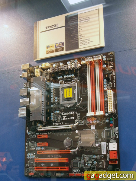 Biostar_09.jpg