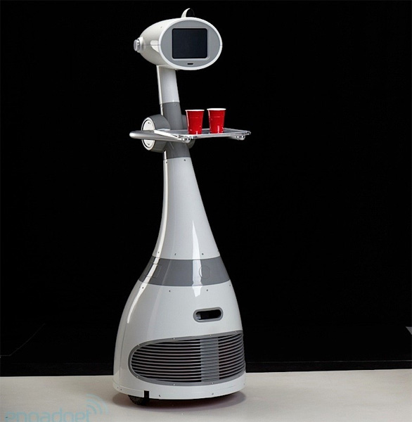 RoboDynamicsLuna_03.jpg
