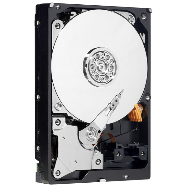 WD_AV-GP_03.jpg