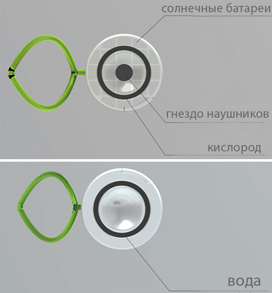 Plantbook04.jpg