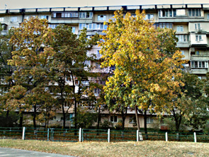 IMG-HDR.jpg
