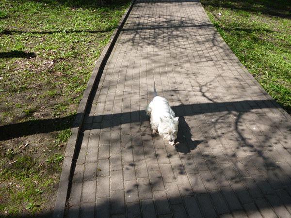 LumixS2_12.jpg