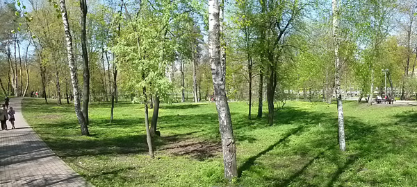 LumixS2_17.jpg