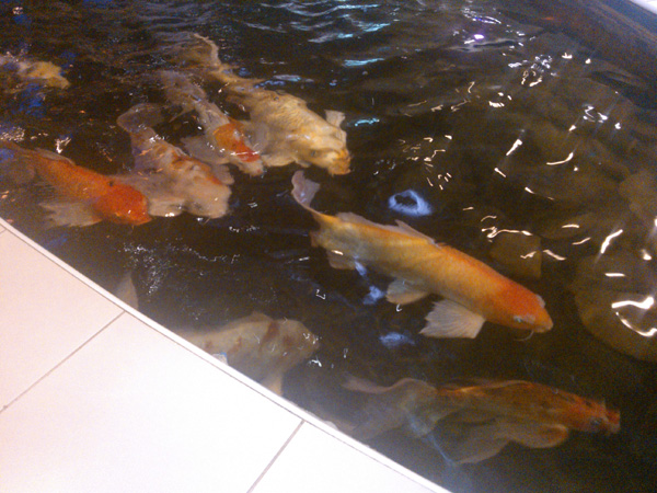 NokiaLumia610_Camera05