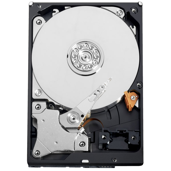 WD_AV-GP_02.jpg