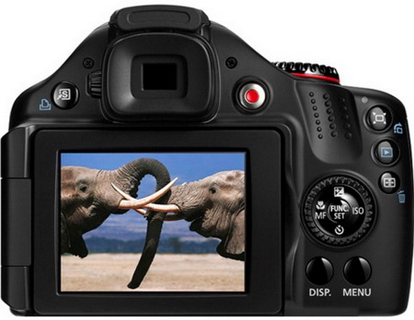 02-Canon.jpg