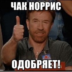 12612386.jpg