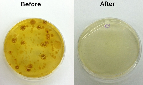 BEfore-AFter.jpg