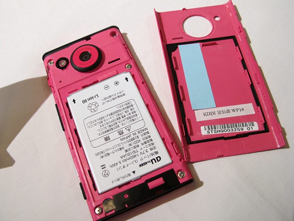 wp8.jpg
