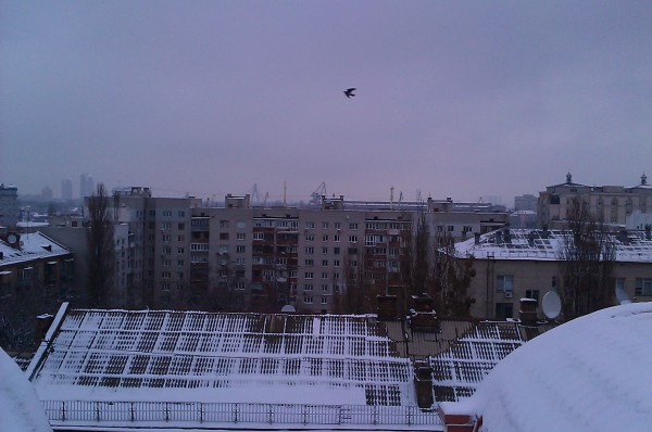 IMAG0013.jpg