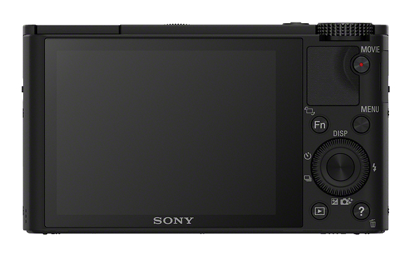 DSC-RX100_2.jpg