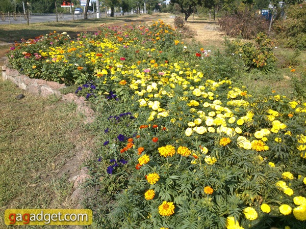 SonyXPERIA_P_camera03.jpg