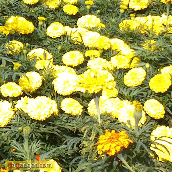 SonyXPERIA_P_camera04.jpg