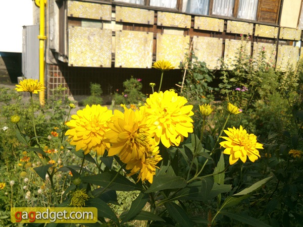 SonyXPERIA_P_camera05.jpg