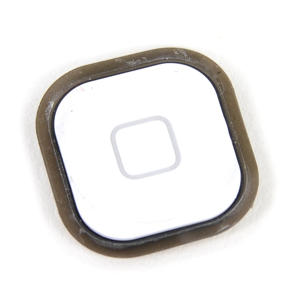 iFixit_iPod_touch_5G_15.jpg