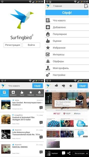 surfingbird_1-4.jpg