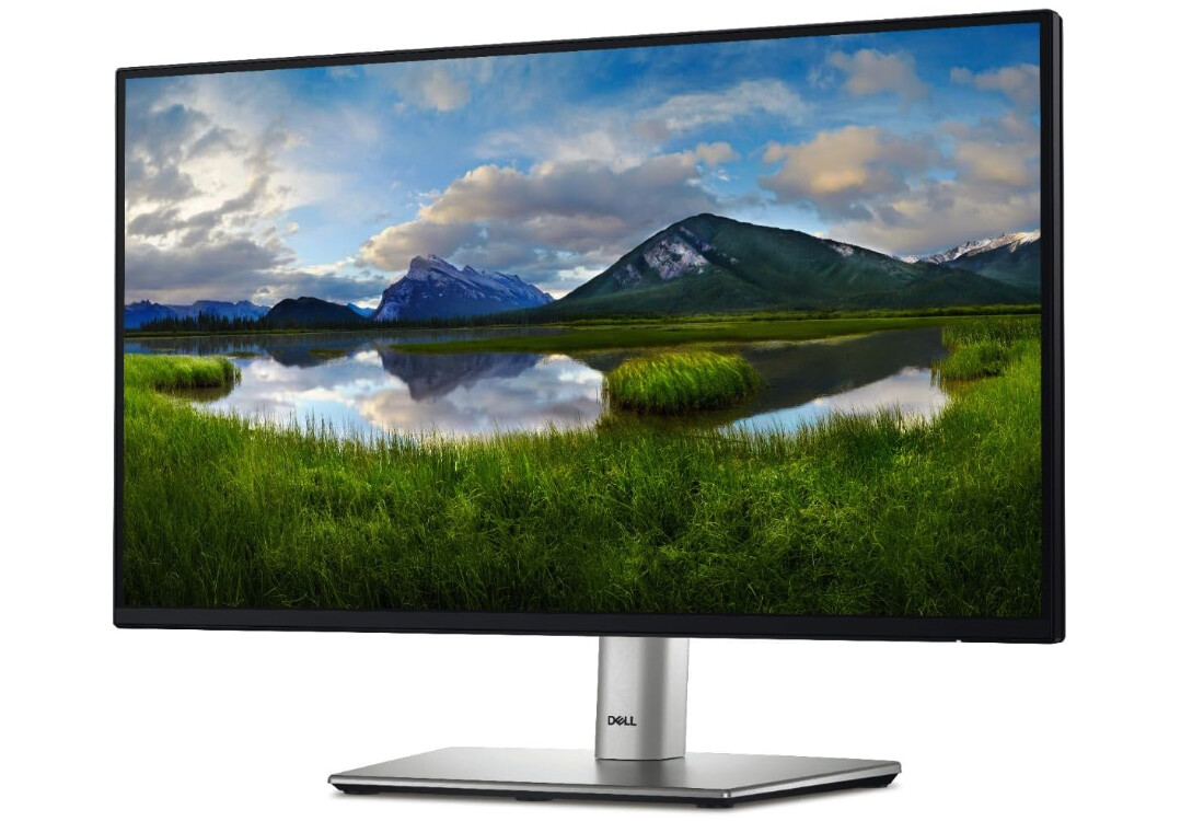 Moniteur de productivité de bureau Dell P2422H