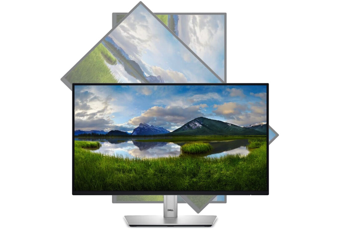 Dell P2422H moniteur professionnel de 24 pouces