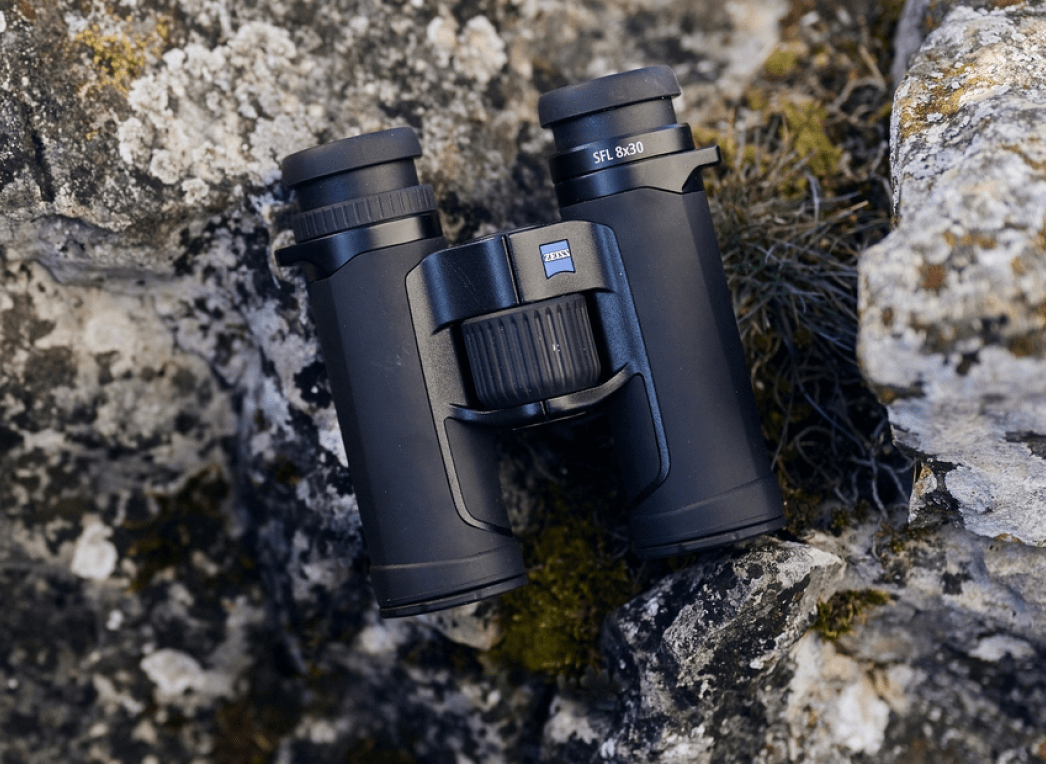 ZEISS SFL 8x30 Jumelles à prisme