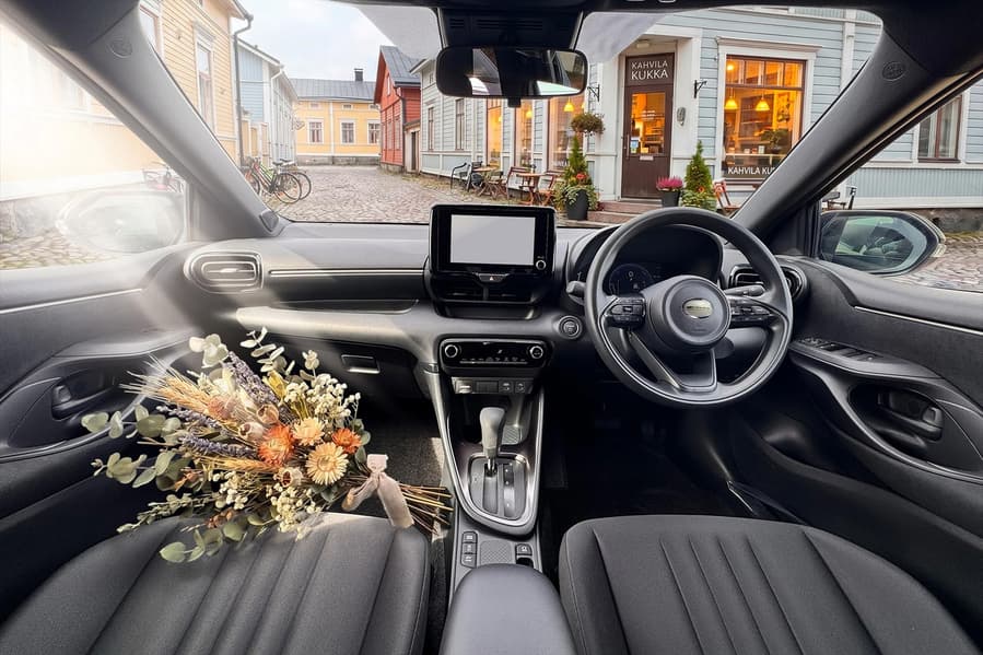 Задня частина Mitsuoka Viewt Story