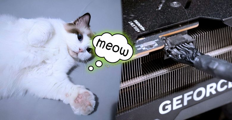 Кот и видеокарта RTX 4090