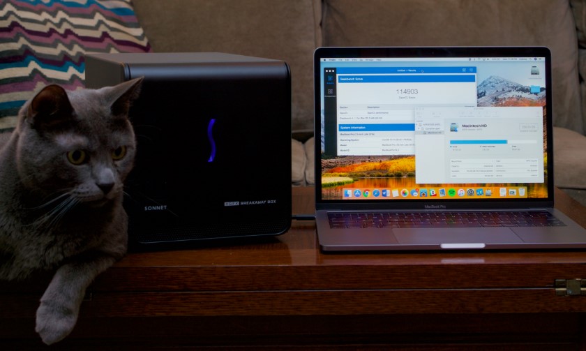 MacOS received official support for external video cards