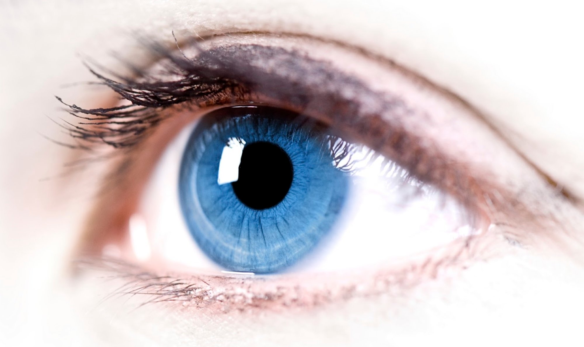 The Google algorithm has learned to determine the cardiac ailments of the retina
