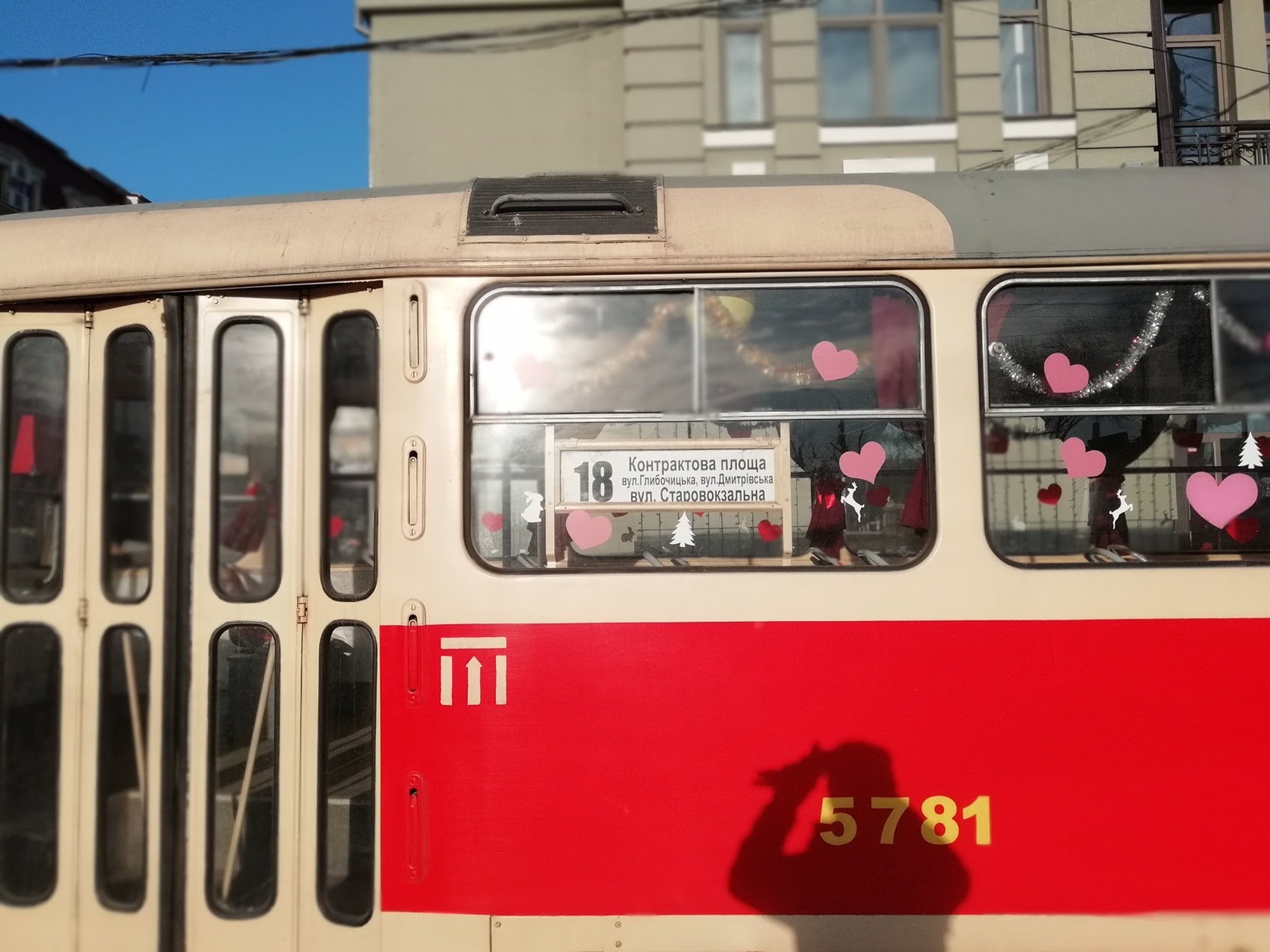 02_боке_издали_на_солнце.jpg