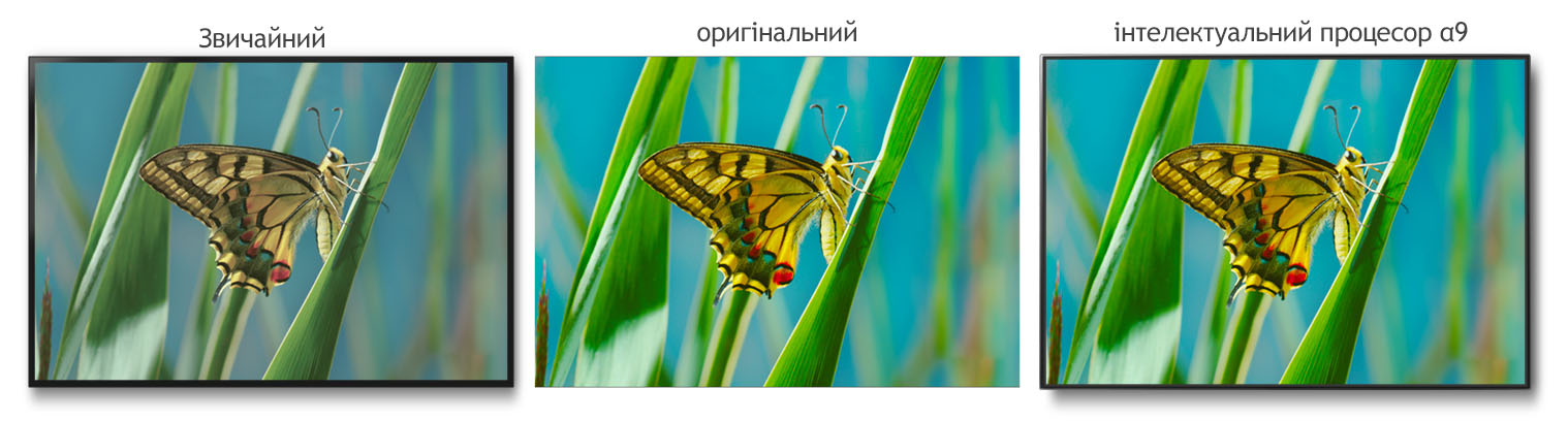 06_Alpha9_Color_Accuracy_desktop.jpg