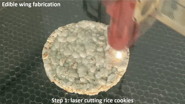 Des scientifiques suisses ont créé un drone comestible contenant 300 kcal de calories pour sauver des vies dans les situations d'urgence-2