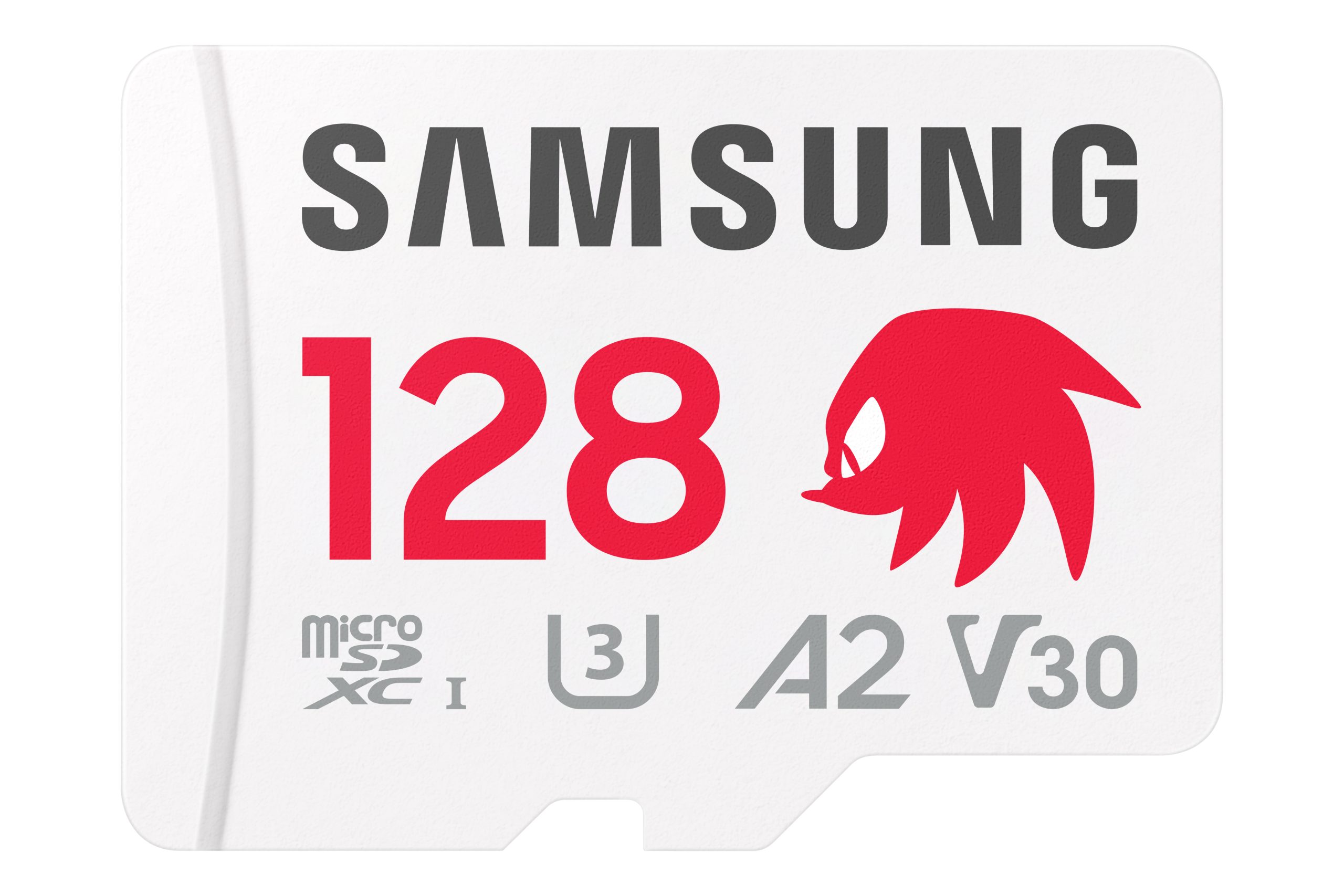 Sonic the Hedgehog PRO Plus memory card featuring Knuckles