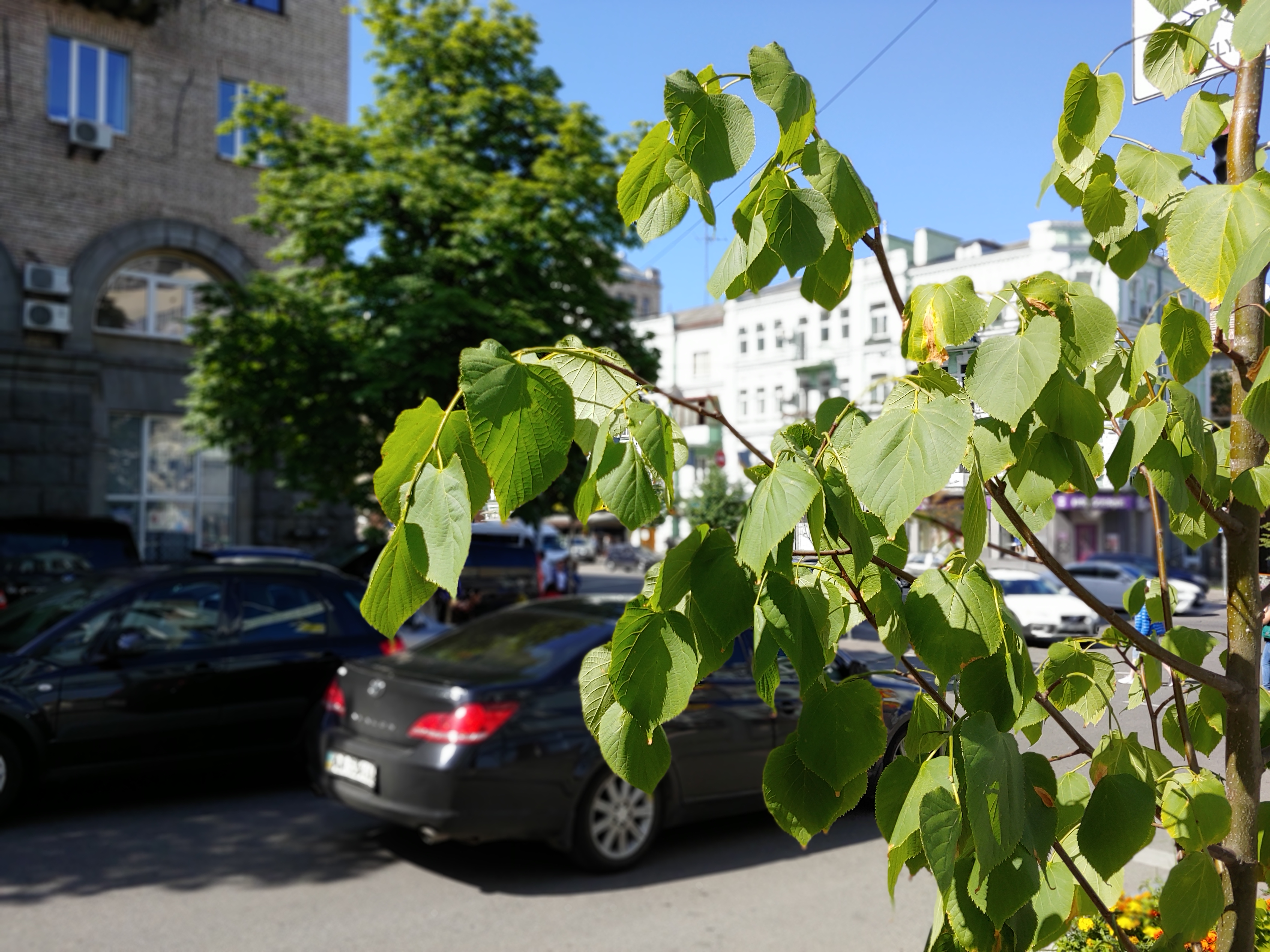 20180625_100220.jpg
