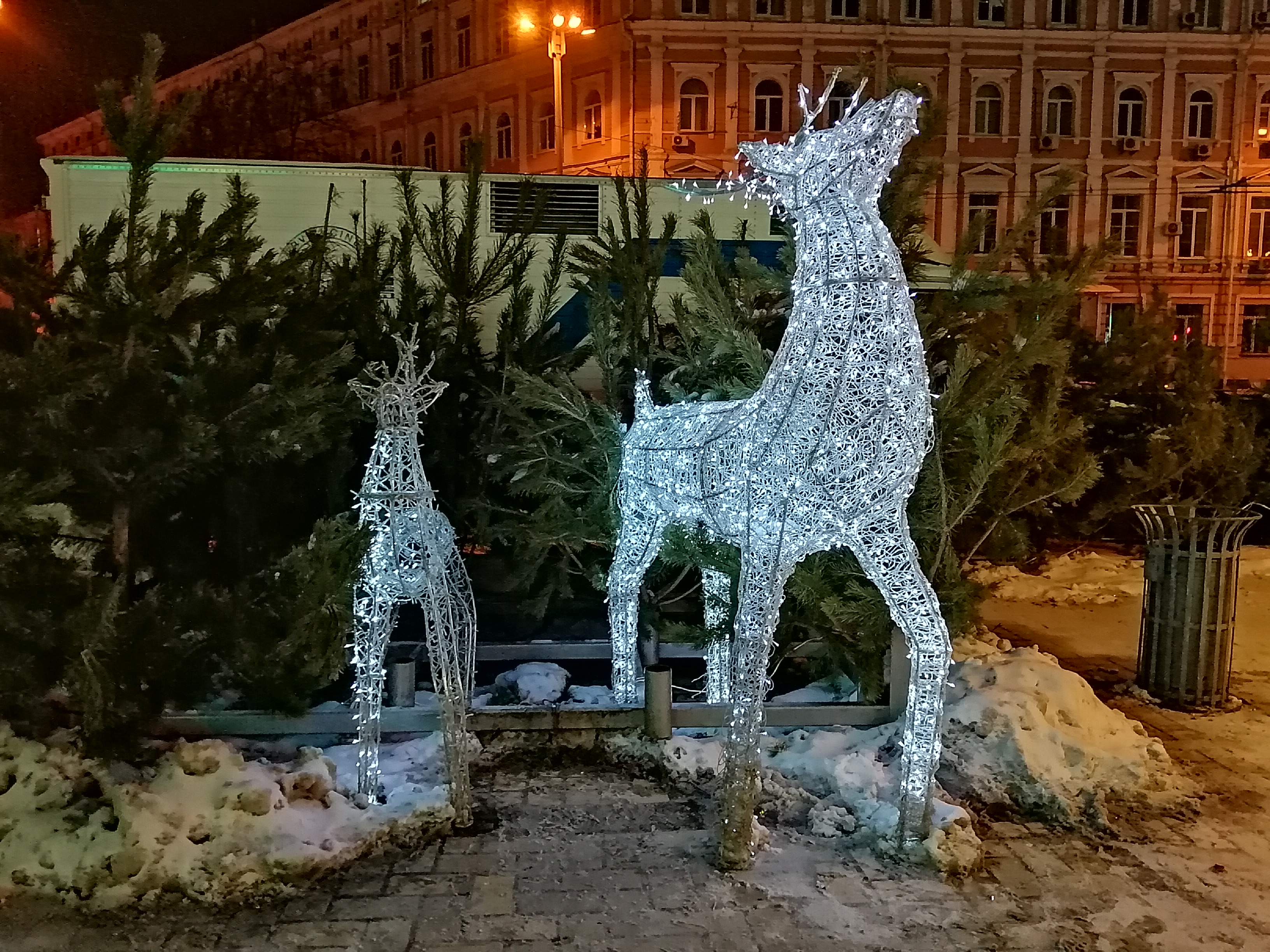 2019-01-13 21.30.47.jpg