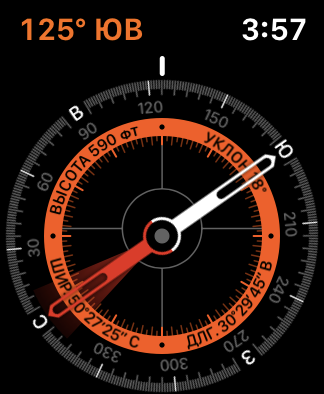 Обзор Apple Watch 5: смарт-часы по цене звездолета-47 Обзор Apple Watch 5: смарт-часы по цене звездолета-47