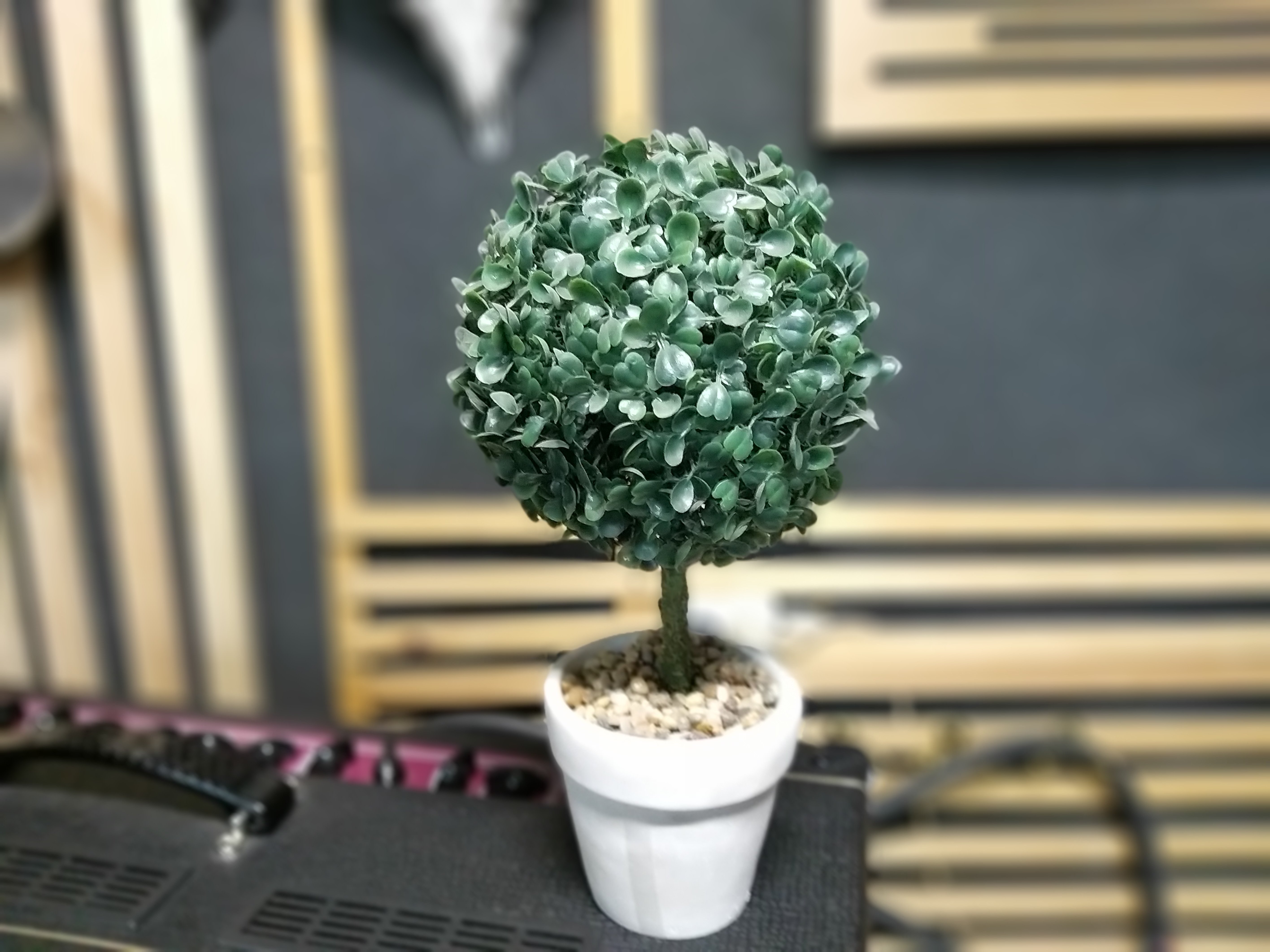20190127_200027.jpg