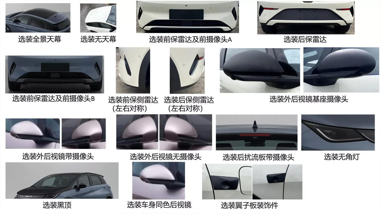 Renovated BYD Dolphin 2026: rear view